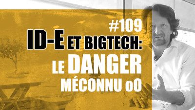 ID-e et BigTech : le danger méconnu